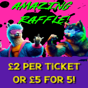 Rescuemania 25 single raffle ticket